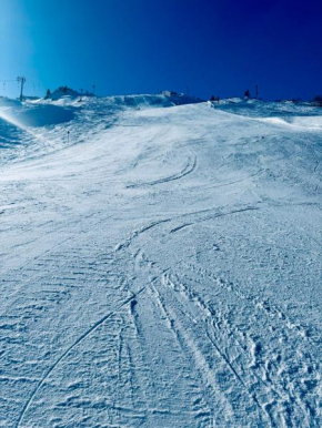 Srebrena Vila 10 - Jahorina